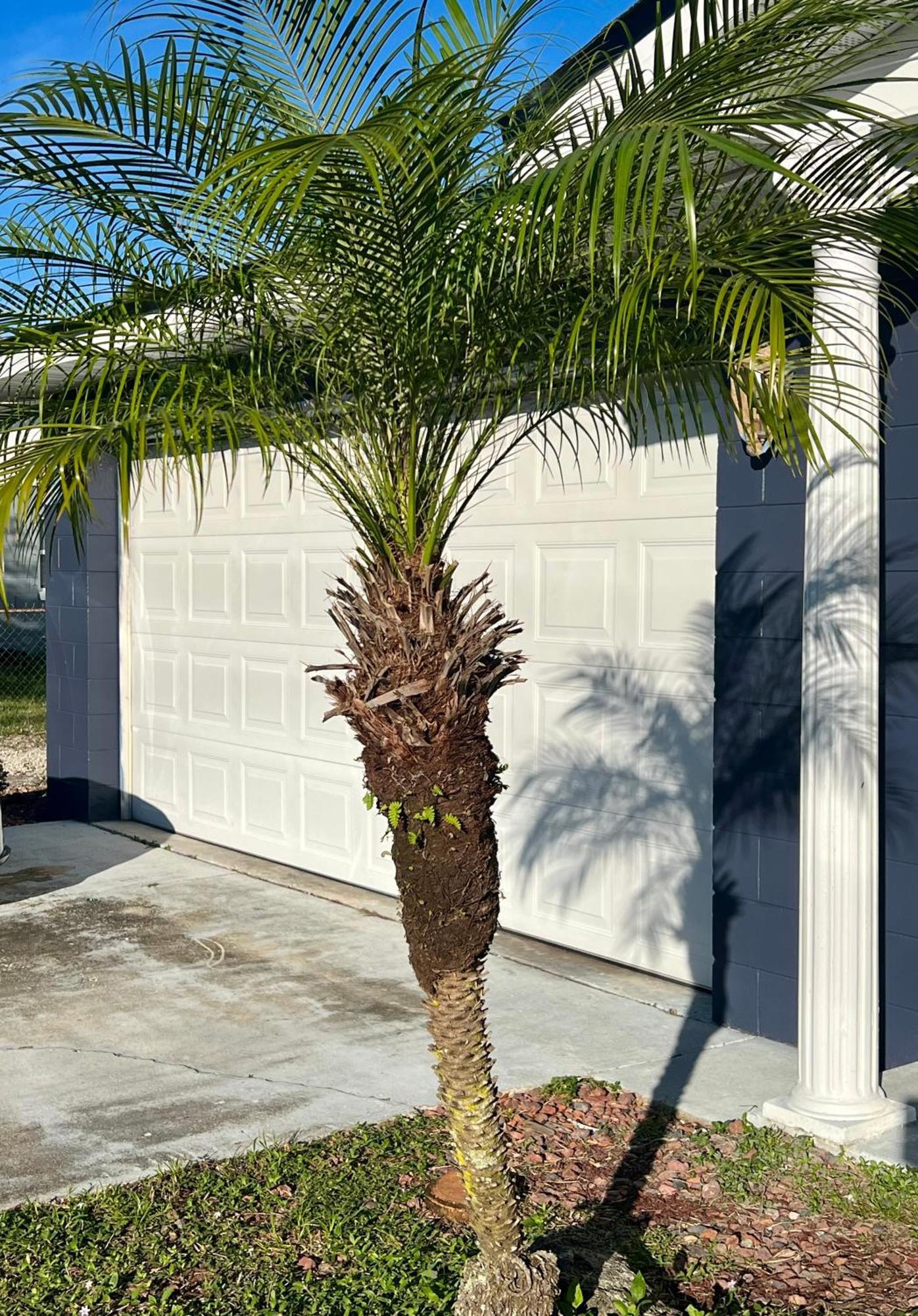 Pool House Oasis Villa Titusville Exterior foto